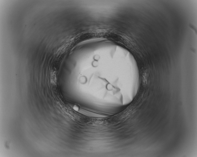 X0000100761204200807101719