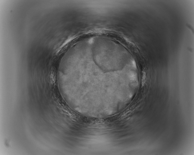 X0000100761206200807101719