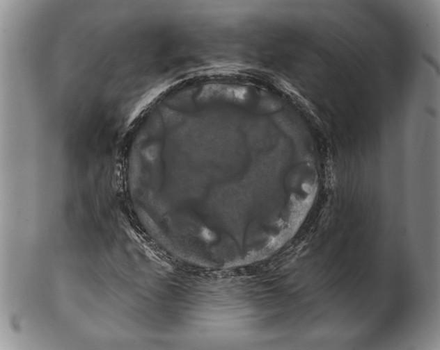 X0000100761208200807101719