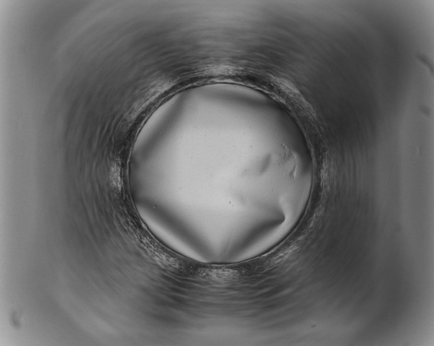 X0000100761209200807101719