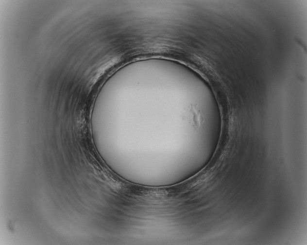 X0000100761210200807101719