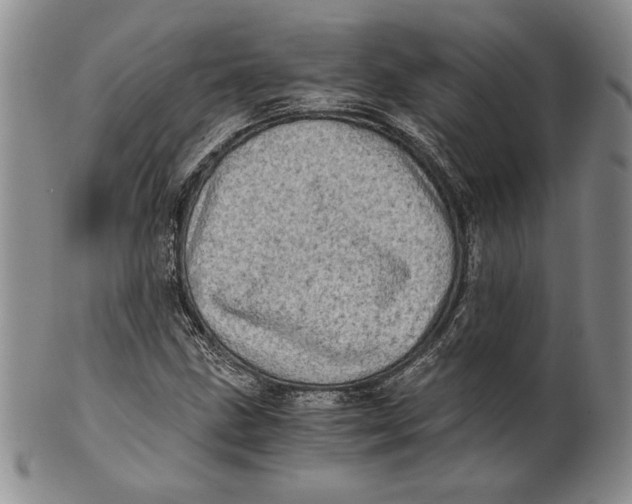 X0000100761211200807101719