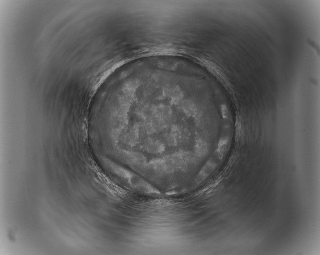 X0000100761212200807101719