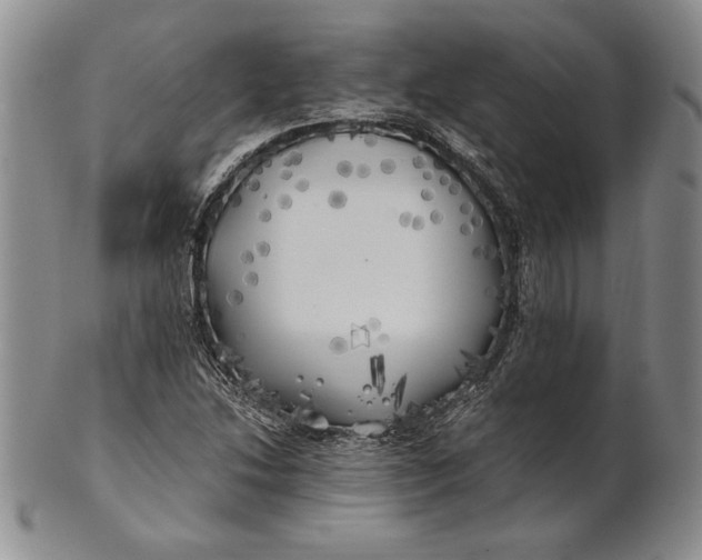 X0000100761214200807101719