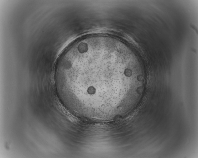 X0000100761216200807101719