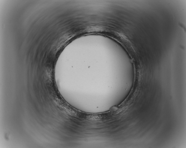 X0000100761217200807101719