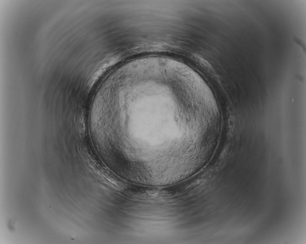 X0000100761218200807101719