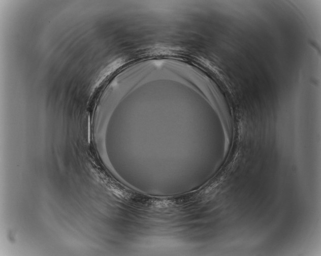 X0000100761219200807101719