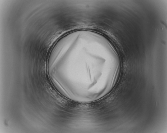 X0000100761220200807101719