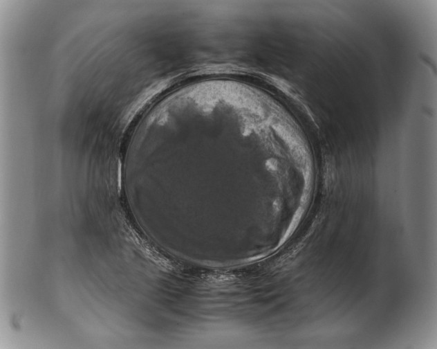 X0000100761221200807101719