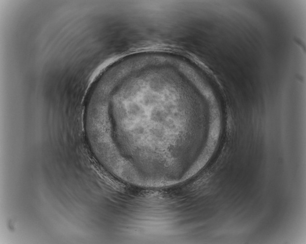 X0000100761222200807101719