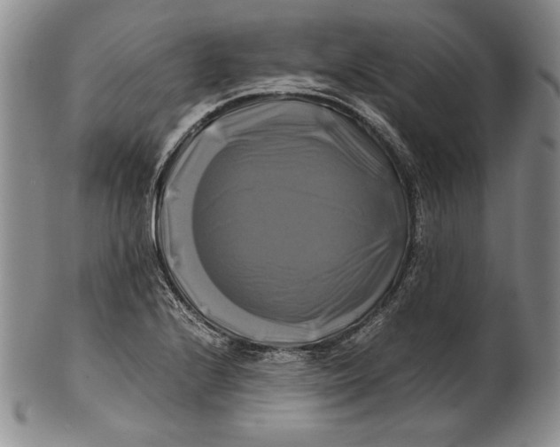 X0000100761224200807101719