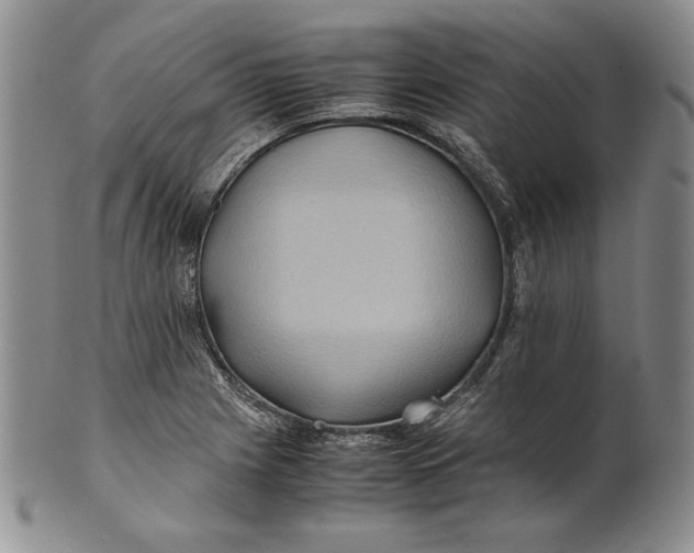 X0000100761225200807101719