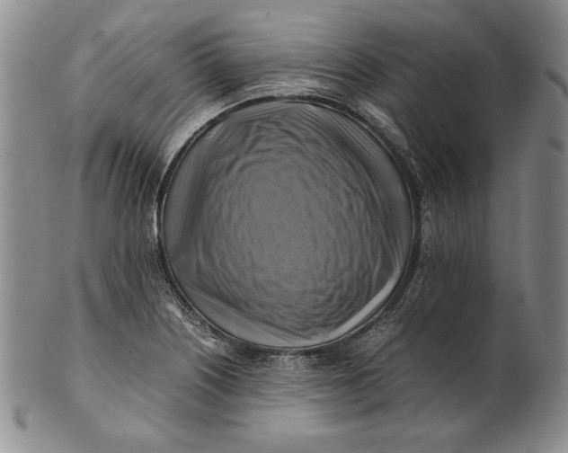 X0000100761226200807101719