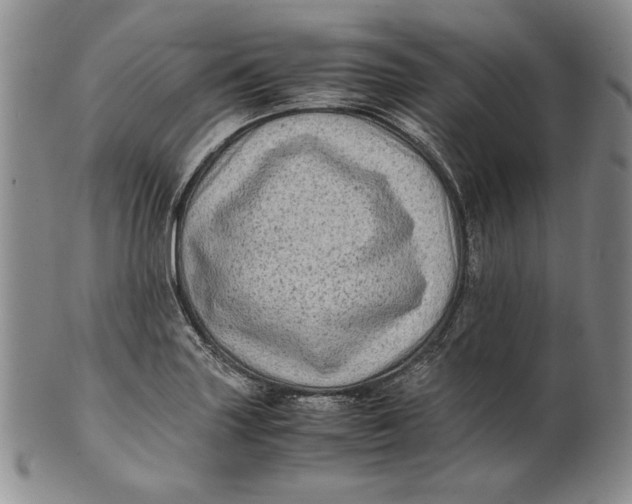 X0000100761227200807101719