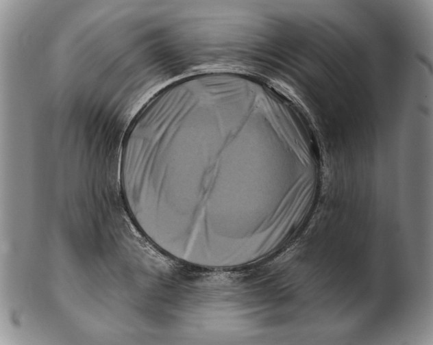 X0000100761228200807101719