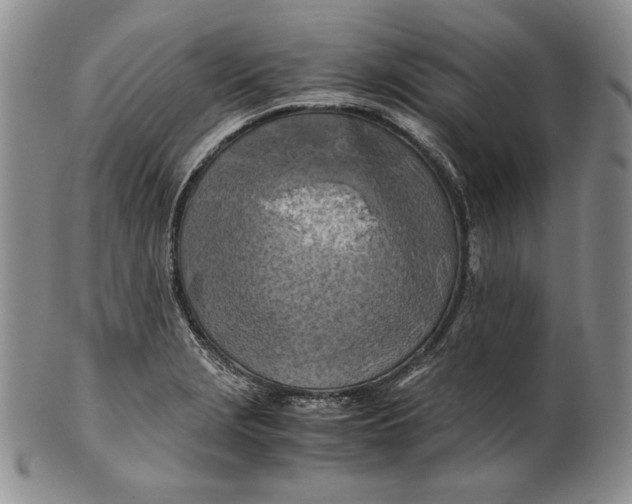 X0000100761229200807101719