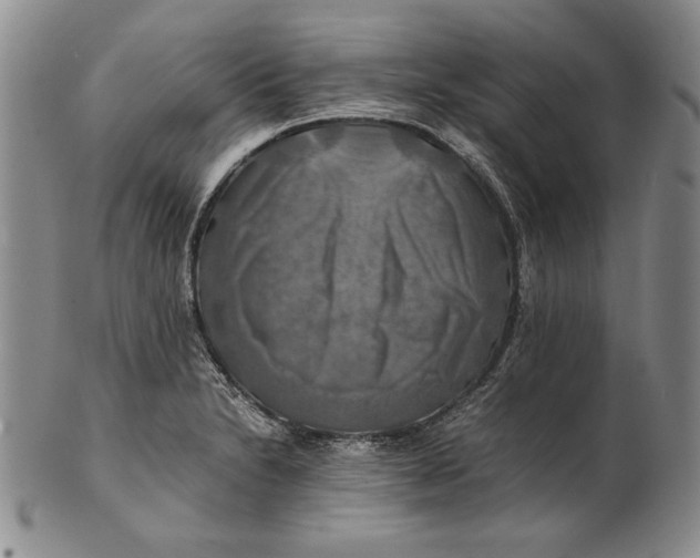 X0000100761230200807101719