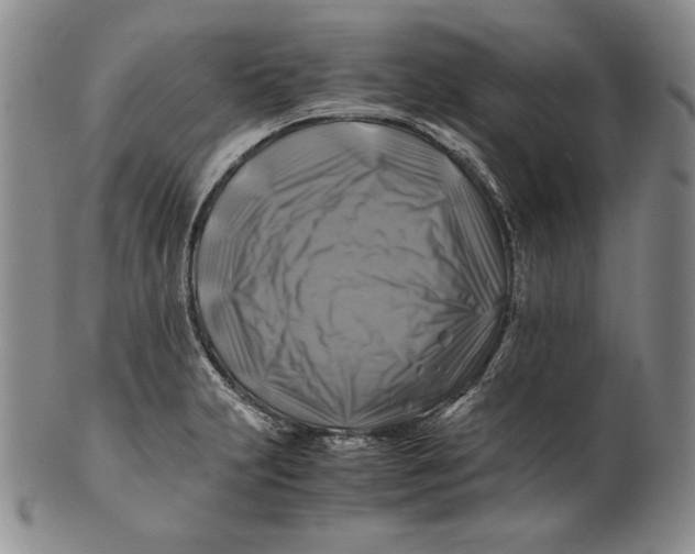 X0000100761231200807101719