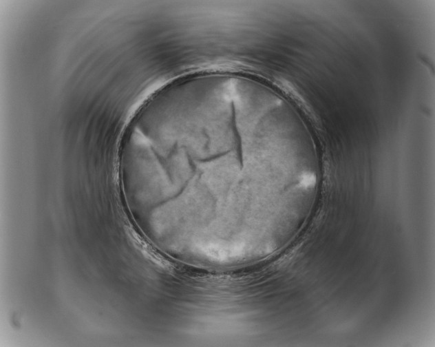 X0000100761232200807101719