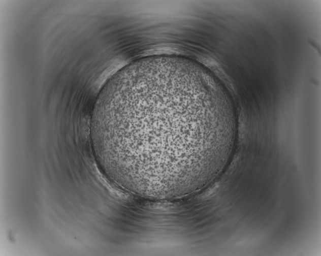 X0000100761233200807101719