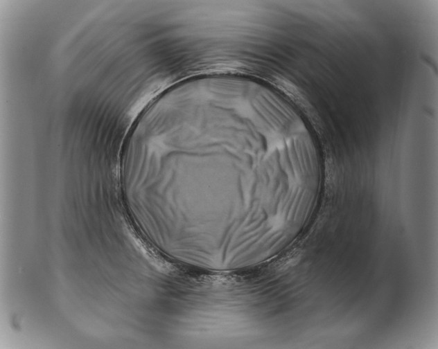 X0000100761234200807101719