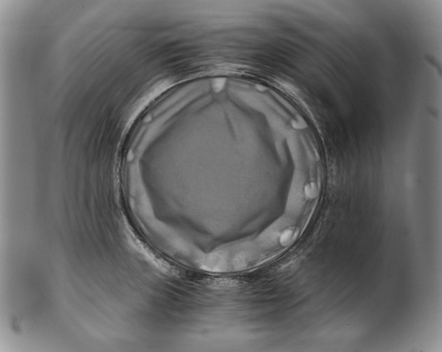 X0000100761235200807101720