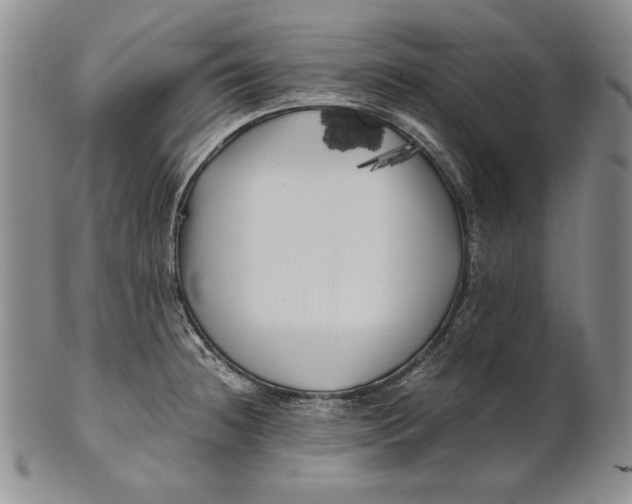 X0000100761236200807101720