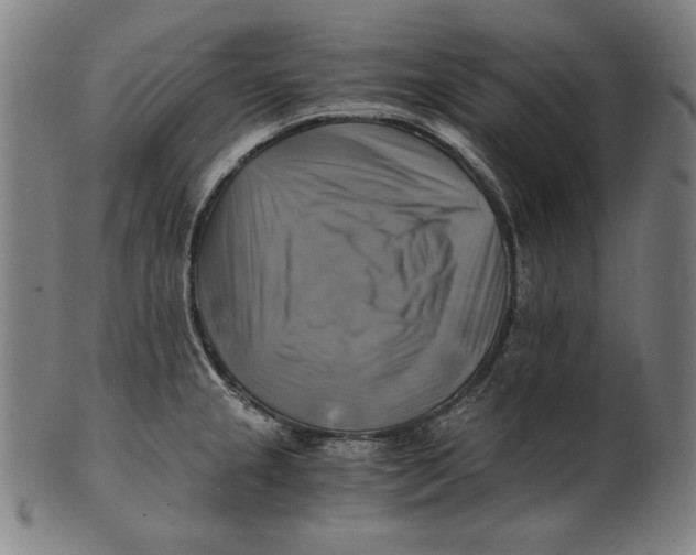 X0000100761237200807101720