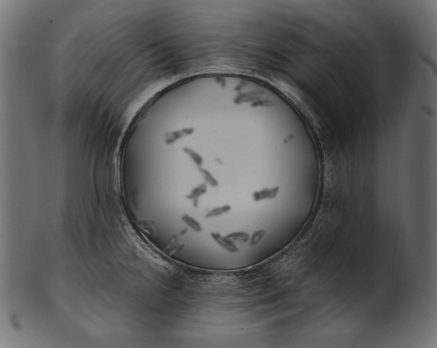 X0000100761238200807101720