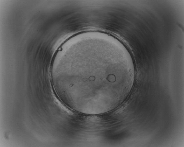 X0000100761239200807101720