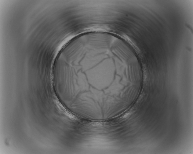 X0000100761240200807101720