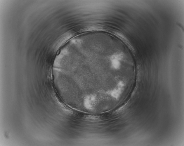 X0000100761241200807101720