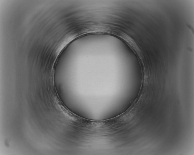 X0000100761242200807101720