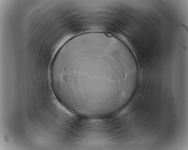 X0000100761243200807101720