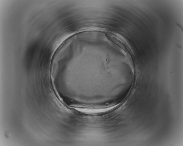 X0000100761244200807101720