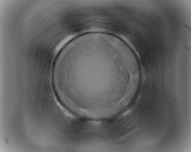 X0000100761245200807101720