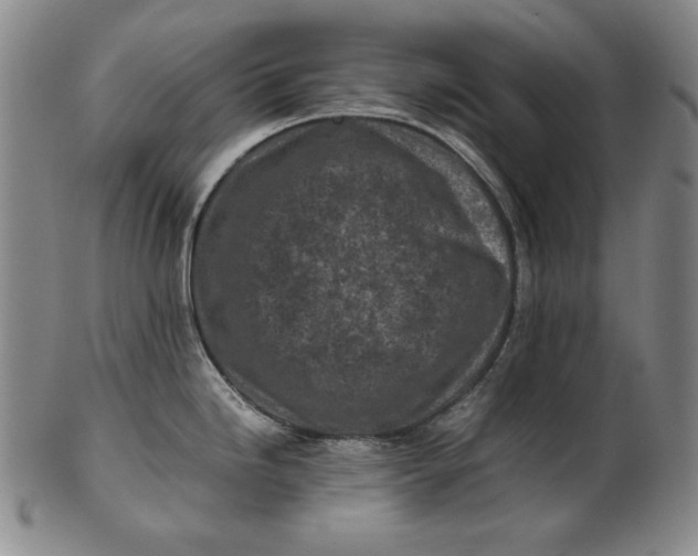 X0000100761246200807101720