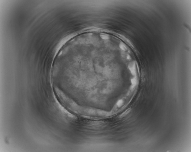 X0000100761247200807101720