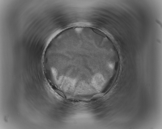 X0000100761248200807101720