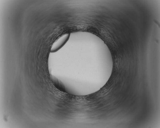 X0000100761249200807101719