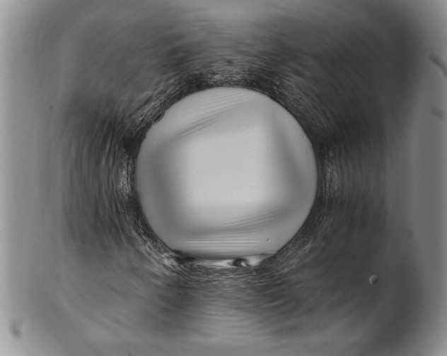 X0000100761250200807101719