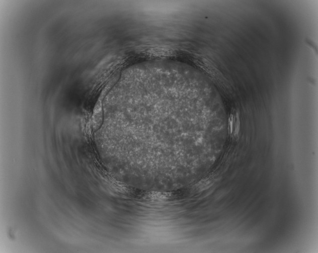 X0000100761251200807101719