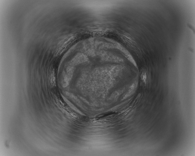 X0000100761252200807101719