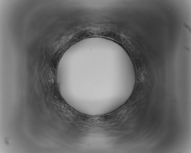 X0000100761253200807101719