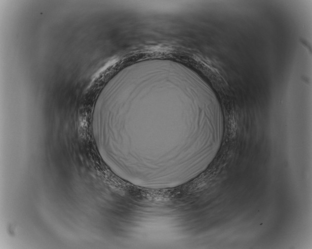 X0000100761254200807101719