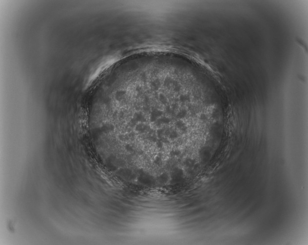 X0000100761255200807101719