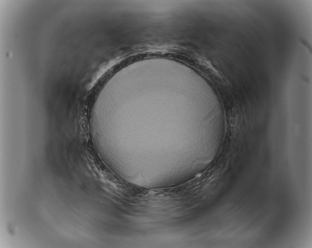 X0000100761256200807101719