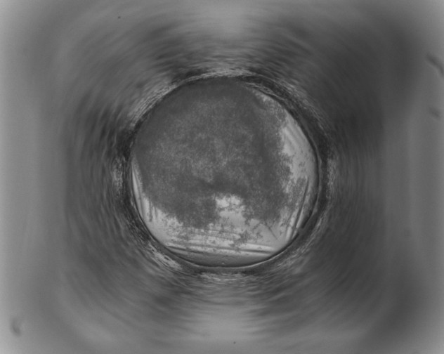 X0000100761257200807101719