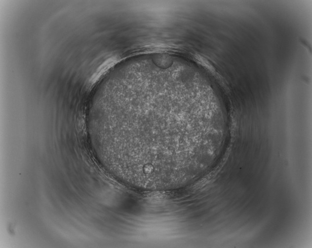 X0000100761259200807101719